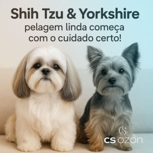Shih Tzu e Yorkshire: Cuidados Essenciais com a Pele e a Pelagem